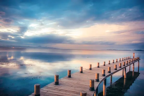 租6字笔顺怎么写，正确写法详解