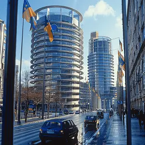 私自倒烟处罚依据什么法律