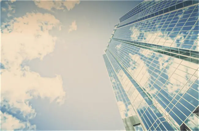 1954通过了什么法律